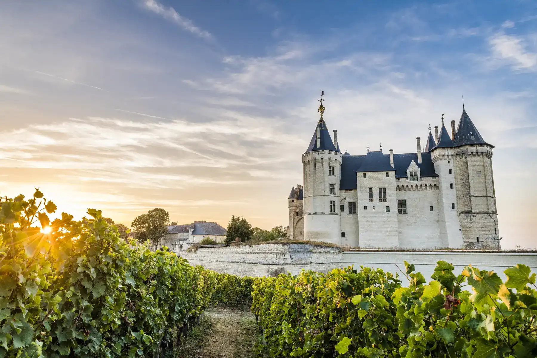 Chateau de Saumur , ses douves et ses vignes au soleil couchant à seulment 30min du camping les nobis d'anjou