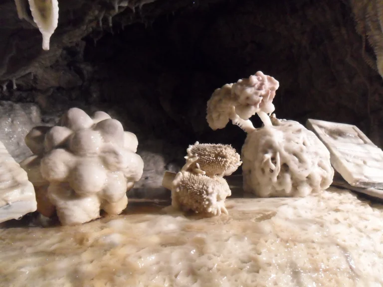 Les grottes Pétrifiantes en touraine val de Loire