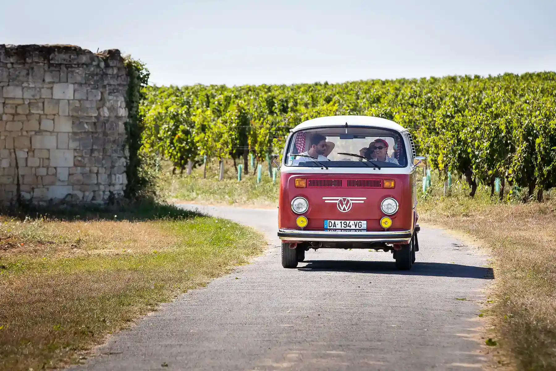 venez en voiture jusqu'au camping des nobis d'anjou et visitez le vignoble