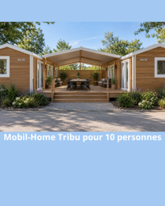 MH tribu site web actualité (3)