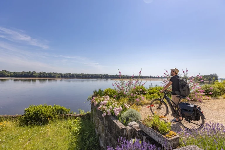 Velo bords de Loire