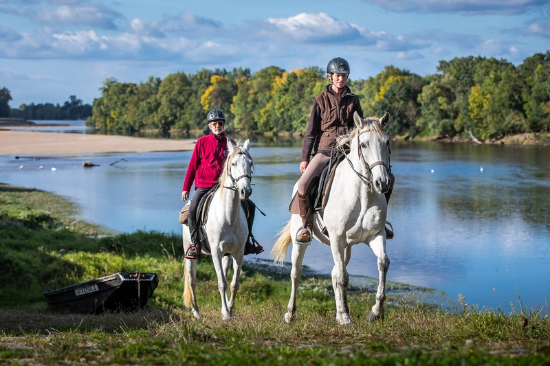 Equestrian ride on the banks of the Loire in Saumur near Anger