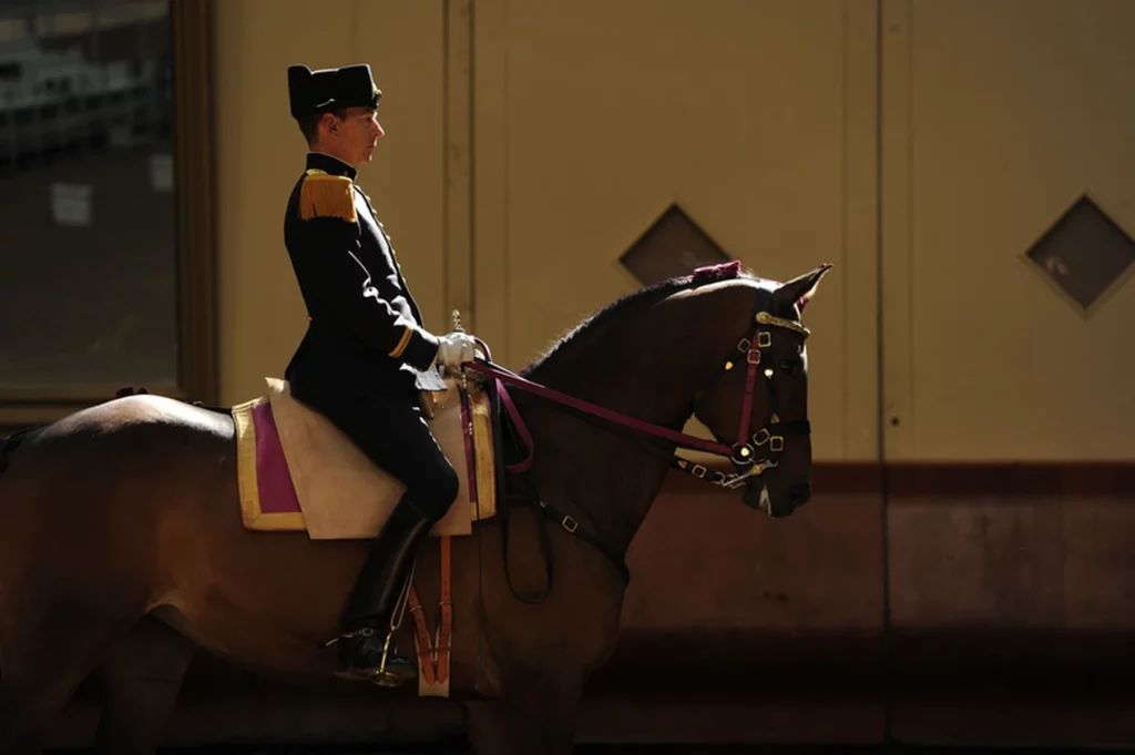 Black frame A rider in uniform on his horse during a show near the Nobis d'Anjou campsite