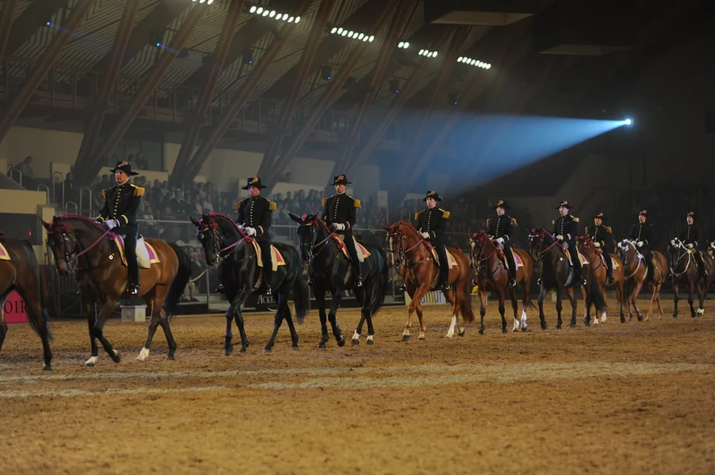 Cadre noir reprise de manege spectacle familial proche du camping les nobis d'anjou