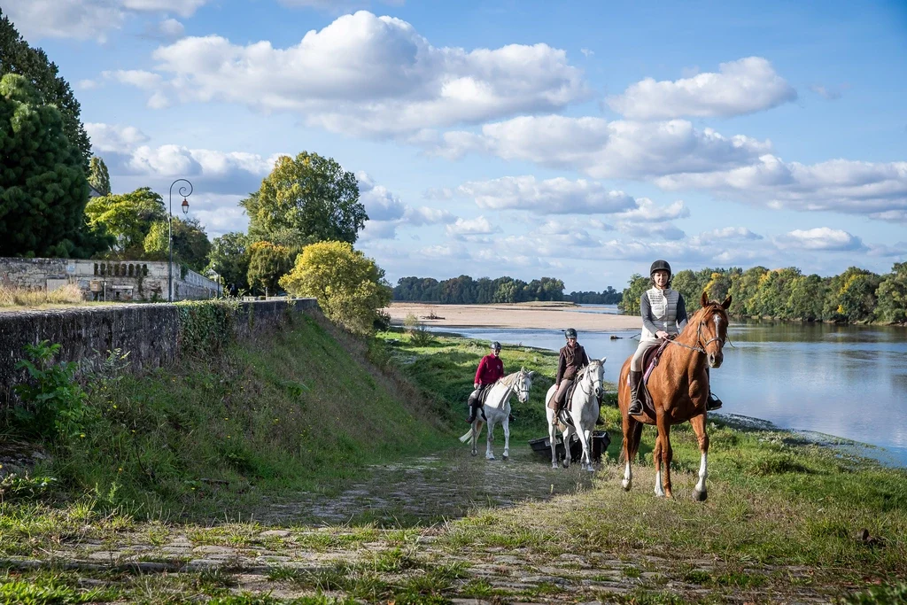 Balade equestre en bord de Loire pour visiter librement le Val de Loire depuis le camping des Nobis d'Anjou
