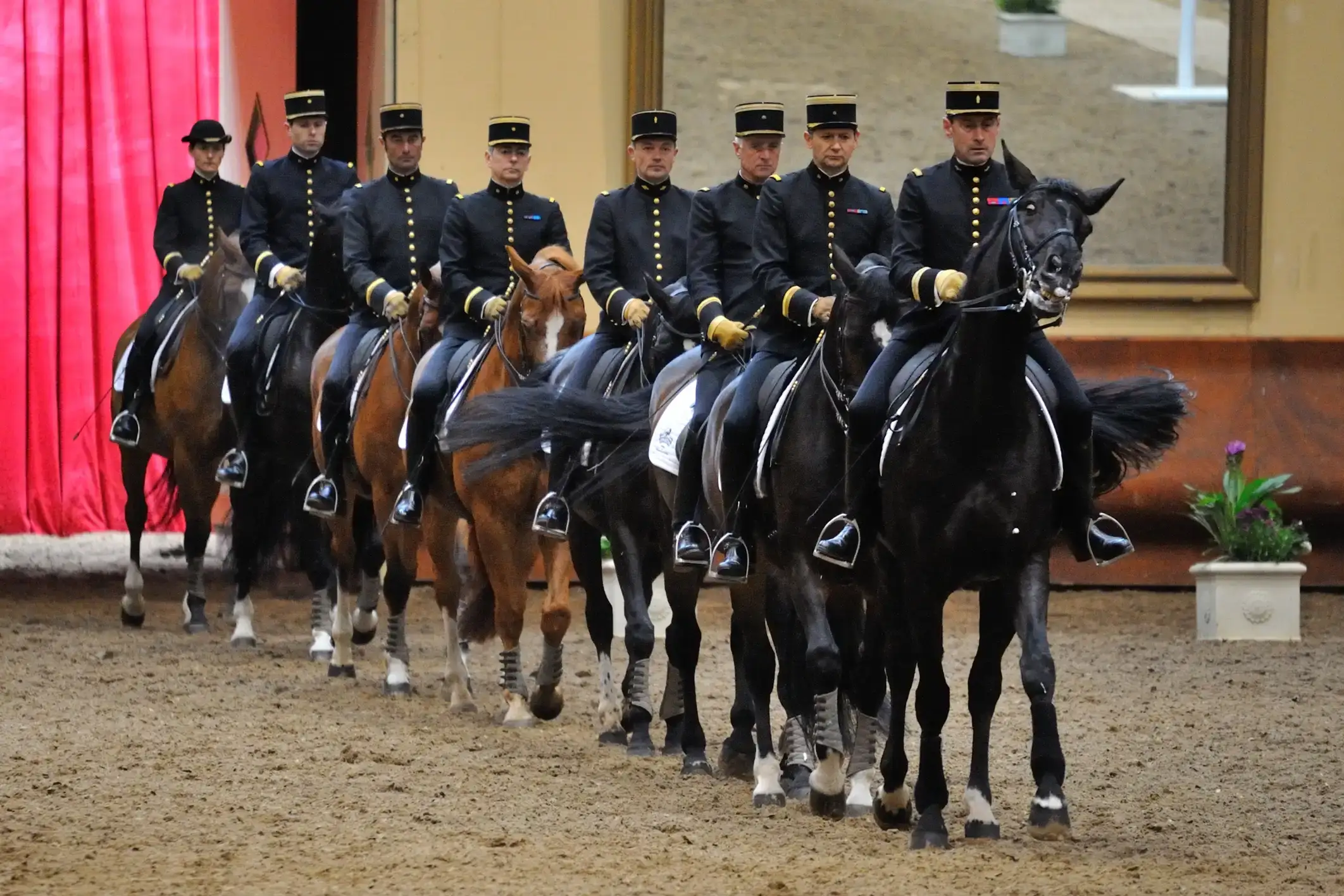 Cadre noir les cavaliers paradent pour le spectacle