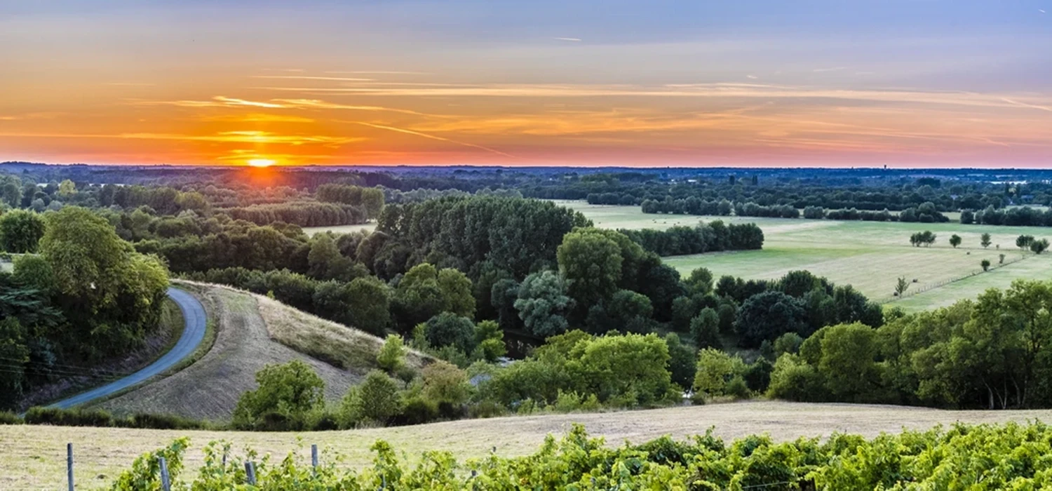 Coucher de soleil sur un Panorama de la Corniche angevine proche du camping