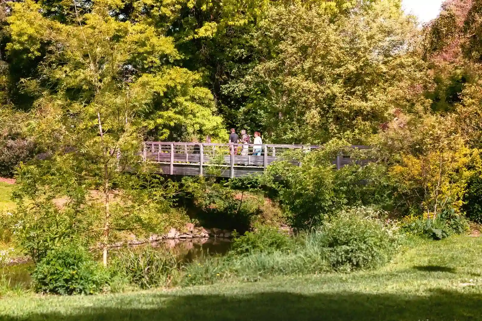 ballade entre amis en anjou à proximité des nobis d'anjou