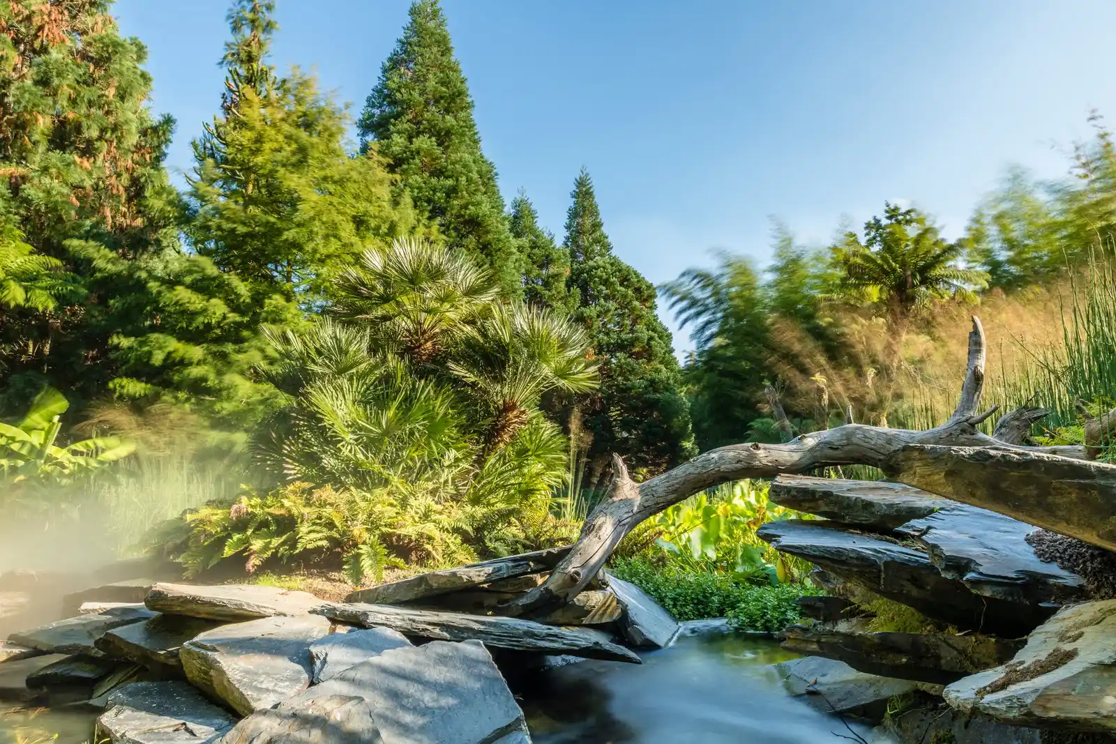 Terra Botanica le parc familial a proximité des Nobis d'anjou pour découvrir la nature