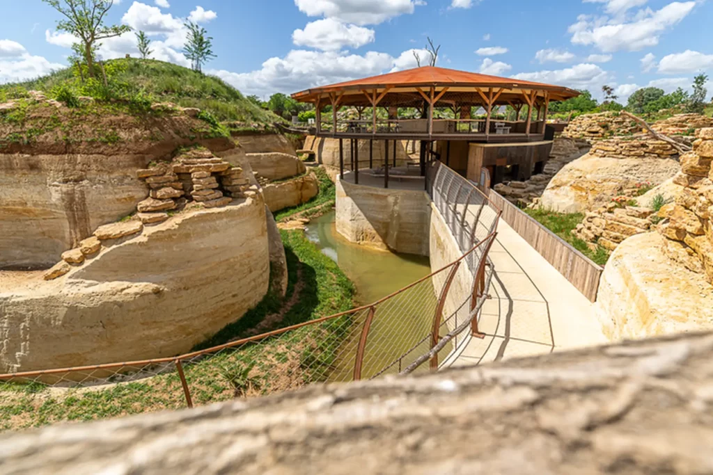 biopark zoölogisch park hut observatie resultaat