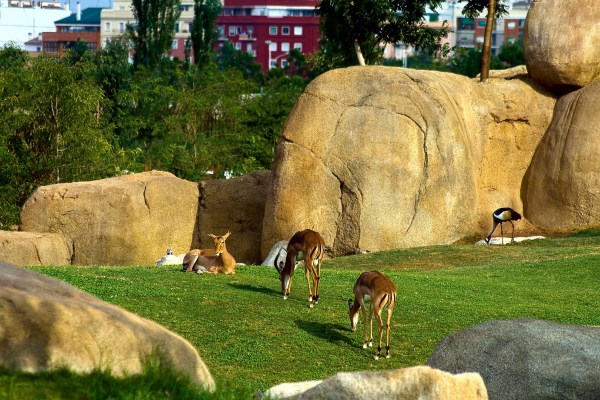 bioparc