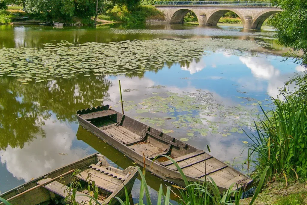 peche dans la riviere du thouet