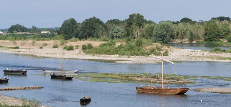 Balade en bateau sur la Loire