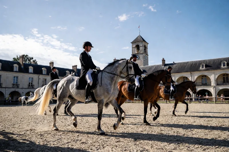 Découvrez spectacles équestres